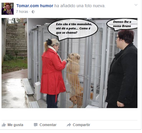 bruno.png bruno.png