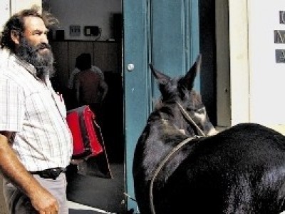 Cidadãos por Abrantes