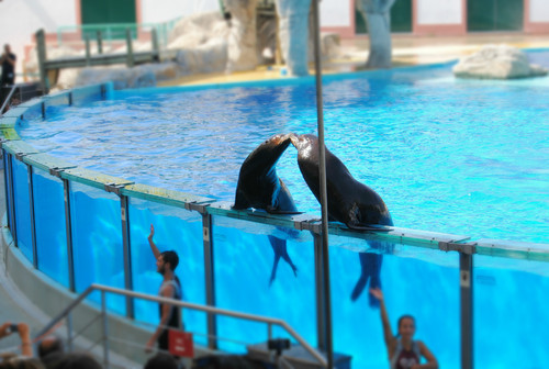 JARDIM ZOOLÓGICO LISBOA (16).JPG