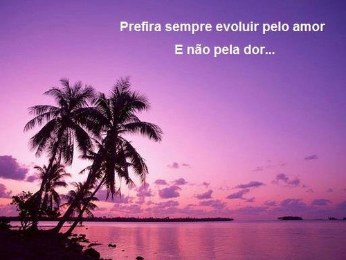 Amor
