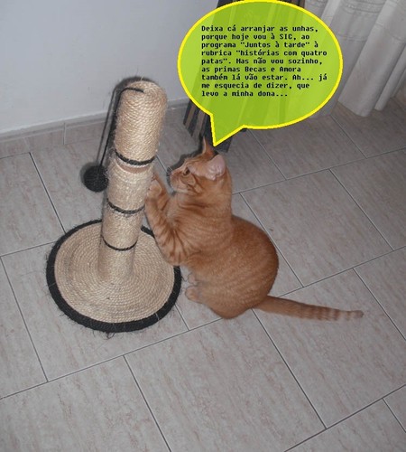 riscas001.JPG