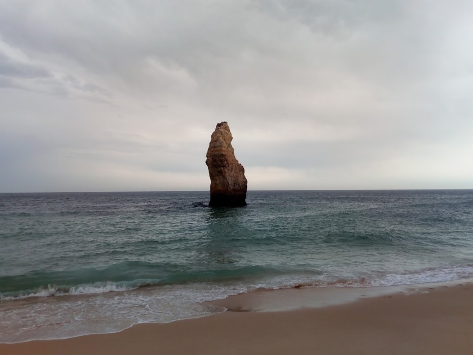 NãoMeCansoDisto_carvalho1.jpg