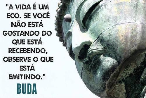 A vida é um eco
