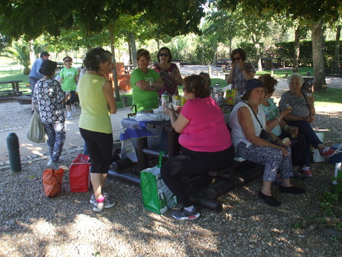 DSCF2535.JPG