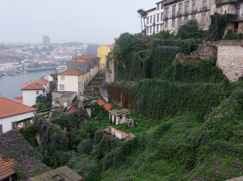 Porto 2.JPG