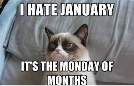3-I-hate-January-meme.jpg