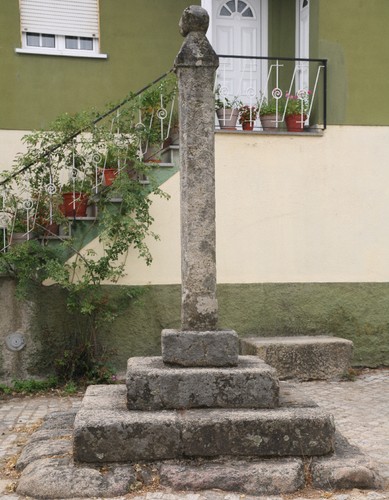 CANAS de SANTA MARIA - Viseu