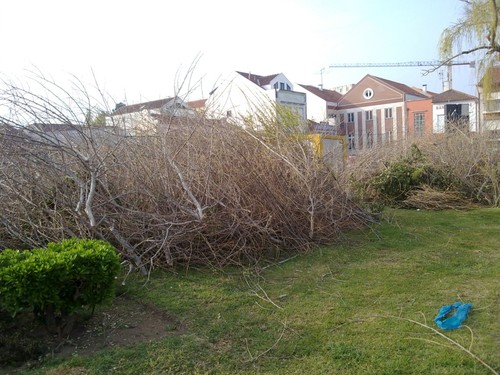Imagem 019.jpg