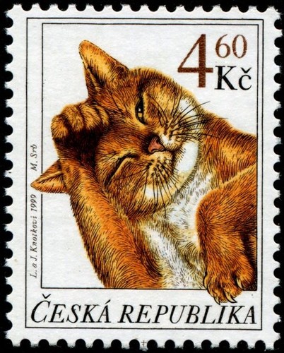 667bb1fb2a9d9cfc349632ea0ca5cd35.jpg