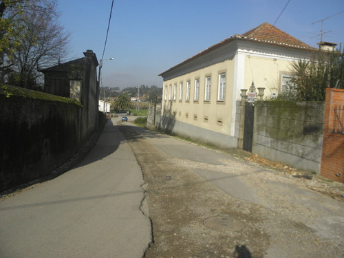 P1113148.JPG