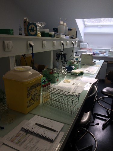 lab marnes.jpg