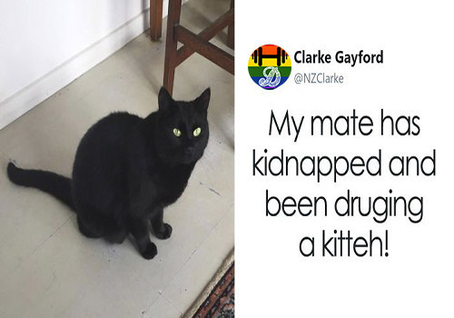 HD guy-steals-neighbors-cat-clarke-gayford-fb__700