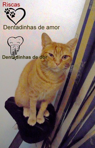 ricasduasfaces.jpg