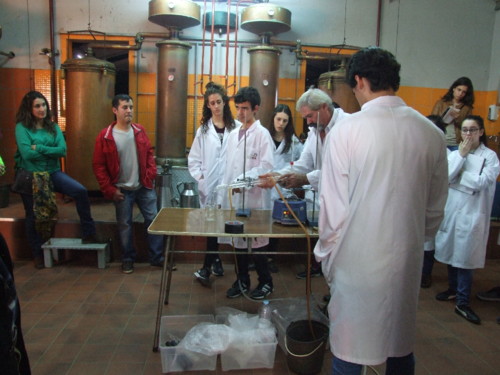 Valongo Aula no Alambique (16).jpg