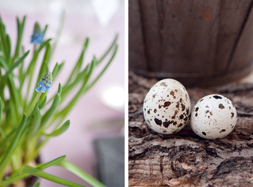 HContadas-79ideas-table-decoration-easter03