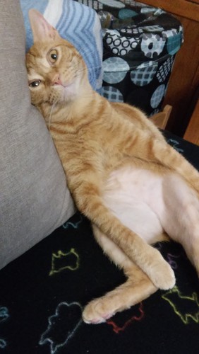 relache001.jpg