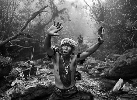amazonia2.jpg