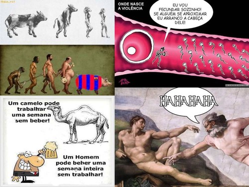 Présentation1.jpg Présentation1.jpg