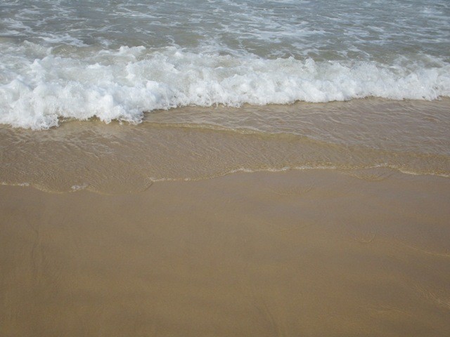 240581040_827582597959368_6633805122103773601_n.jp