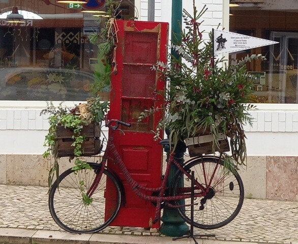 20231129_090028 - Cópia.jpg