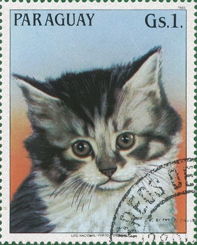 505ed722b6c67f37d32366ea64b5d328.jpg 505ed722b6c67f37d32366ea64b5d328.jpg