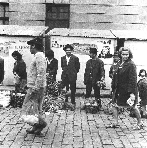 o mundos dos índios mapuche2.jpg o mundos dos índios mapuche2.jpg