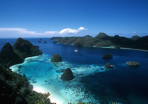 BEAUTIFUL! THE CORAL TRIANGLE 1