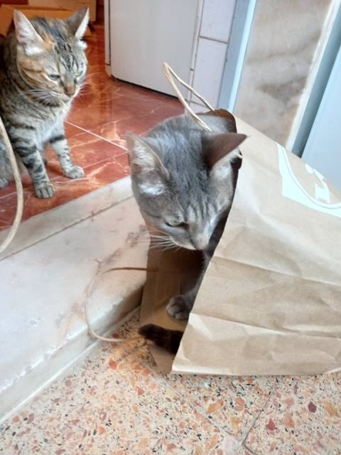 240528530_2407907742674365_1631550459396246698_n.j