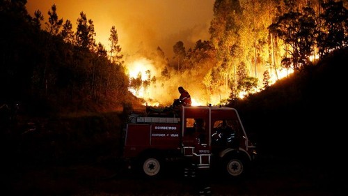 fogos-800x450.jpg