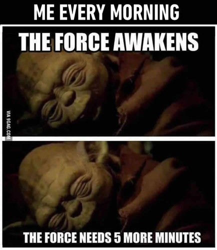 WhatsApp Image 2016-11-14 at 07.54.23.jpeg