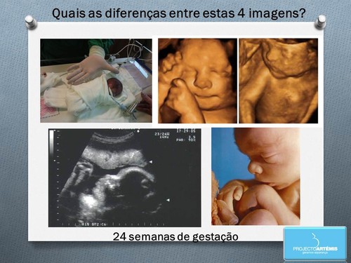bebes.jpg