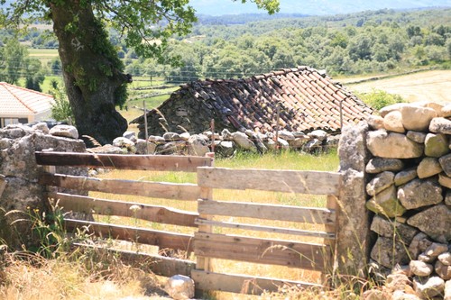 Afonsim