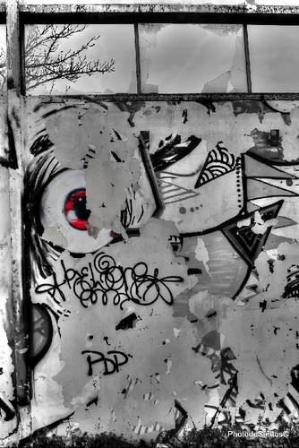 IMG_0346_Monochrome 2.jpg