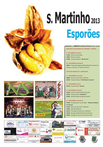 Festa de São Martinho