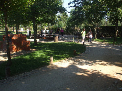 DSCF2533.JPG