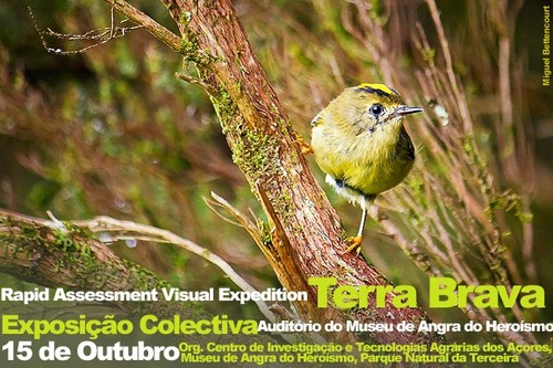 À vista este sábado, no Museu de Angra...