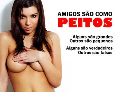 Amigos são como os peitos