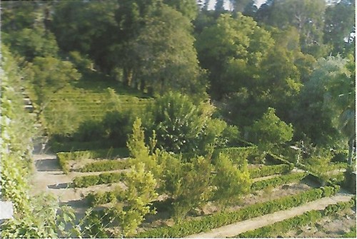 Jardim Botânico canteiros.jpg