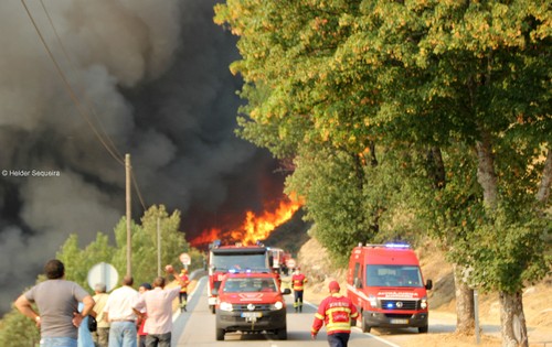 Incêndio na EN 18 - Guarda - Foto HS.jpg