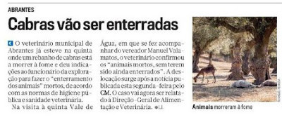 abrantes cabras.JPG