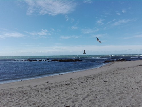 IMG_20181027_132643.jpg