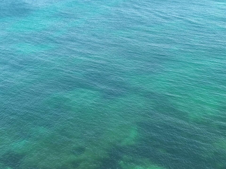 Não me canso disto mar1.jpg