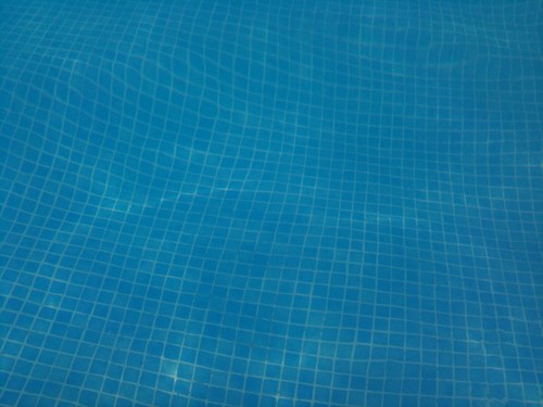 fotografia.JPG