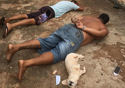 HD Cadela entrega à polícia para imitar dono.jpg