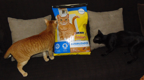compras001.JPG