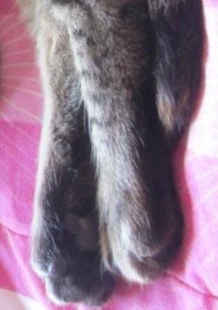 64969220_2416159301989533_1958592871812562944_o.jp