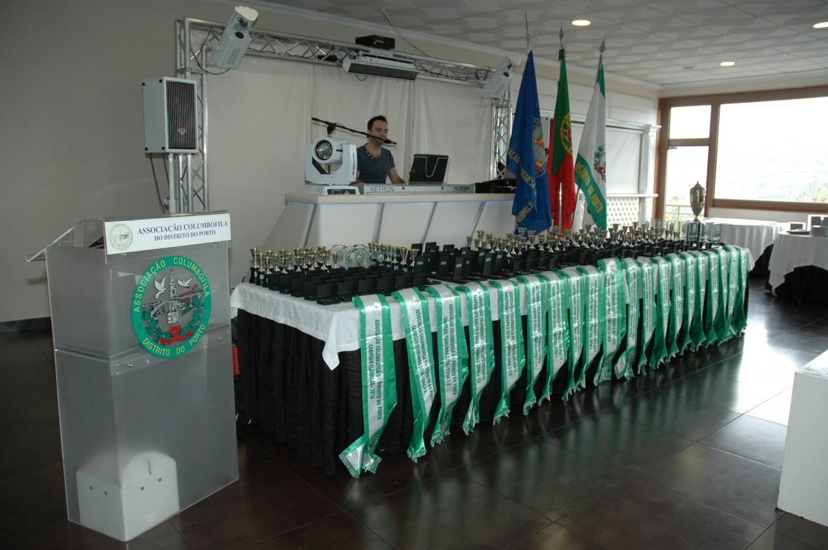 13.JPG