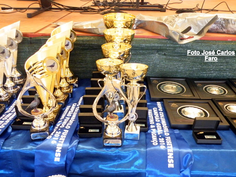 Fuseta 2016 005.JPG