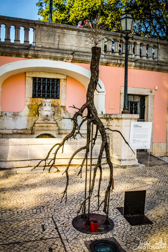 jardins palácio nacional belém (3).jpg