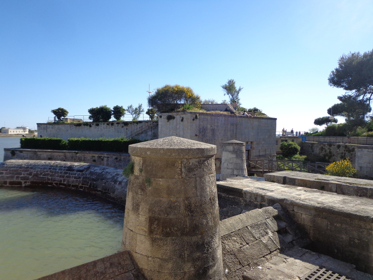 DSC02587.JPG